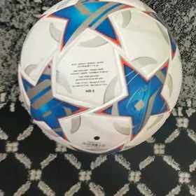 Top liga çempion