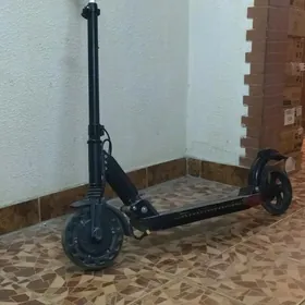 samokat skuter sigwey