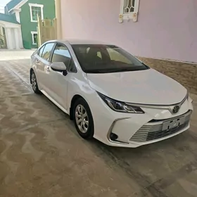 Toyota Corolla 2021