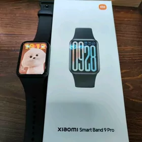 Mi braslet, Ми браслет
