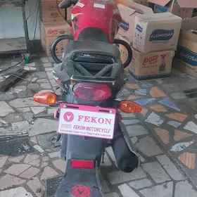Fekon FK150-8G 2022