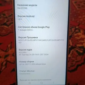 Samsung s24 2-nji sort