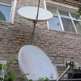 Antena