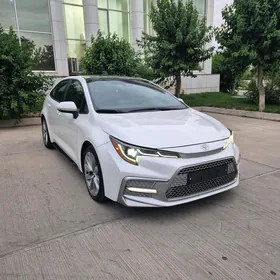 Toyota Corolla 2021
