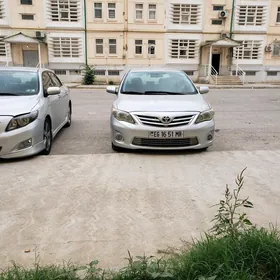 Toyota Corolla 2011