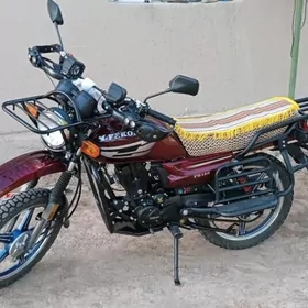 Fekon FK150-8G 2024
