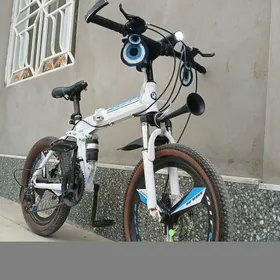 BMW Tigir