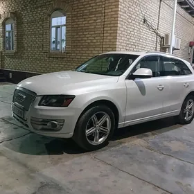 Audi Q5 2010