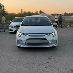 Toyota Corolla 2020