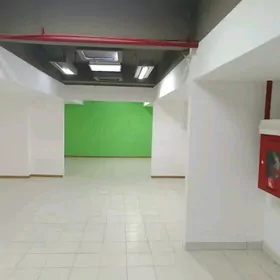 GURTLY-TELEKEÇI,ÝER,