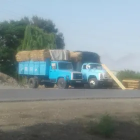 Gamyş. (Kamyş)
