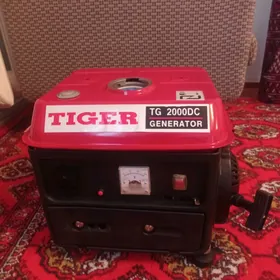Diwižok Tiger