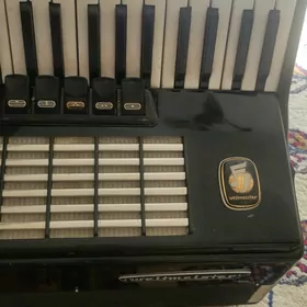 akkardeon