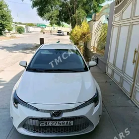 Toyota Corolla 2019