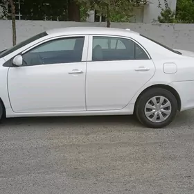 Toyota Corolla 2010