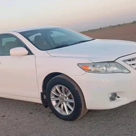 Toyota Camry 2010