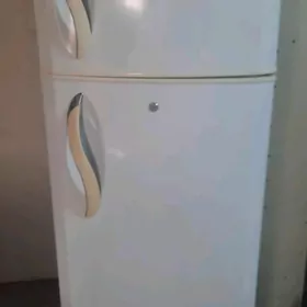 елжи
