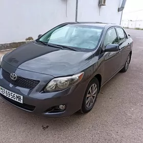Toyota Corolla 2010