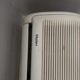 kondiconer Hair