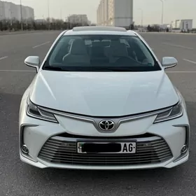 Toyota Corolla 2019