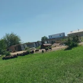 Ишчи сторож