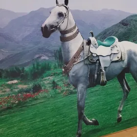 картина surat bedew foto