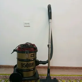 plesos
