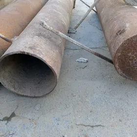 tıplısse pec