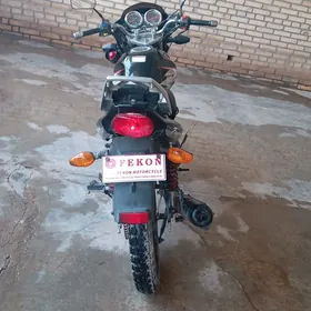 Fekon FK200-14G 2024