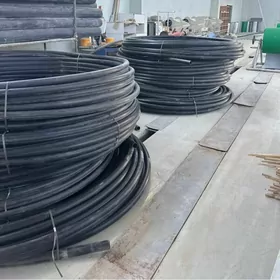 plasmas turba