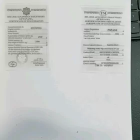 tehpasport