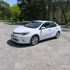 Toyota Corolla 2014