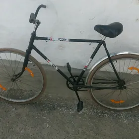 ural tigir