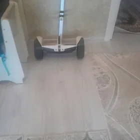 tokly skutr