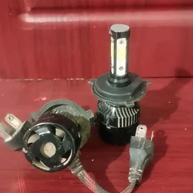 led çyra