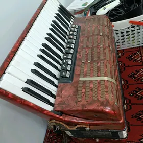 akardeon
