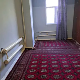 satlyk kwartira