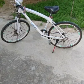BMW TIGIRLER