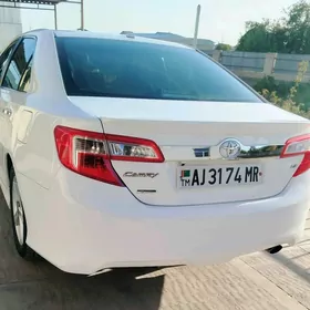Toyota Camry 2013