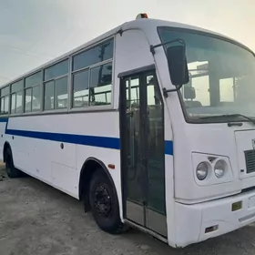 ПАЗ 3203 2010