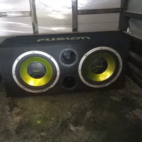 bass bocga