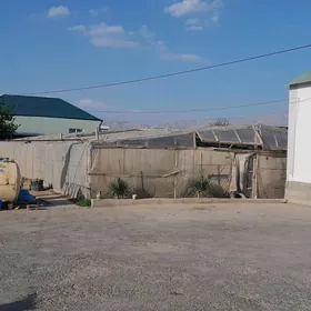 mellek