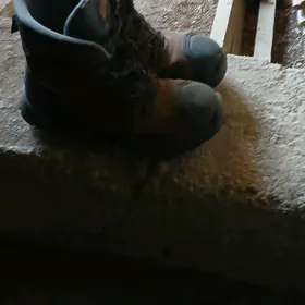 сапок