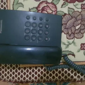 panasonic domasny