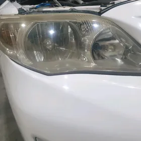 Corolla Haliji Fara