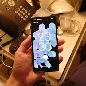 Geogle pixel 6 pro