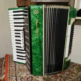 Akardiýon