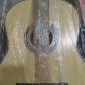 Гитара "TAYSTE" Gitara