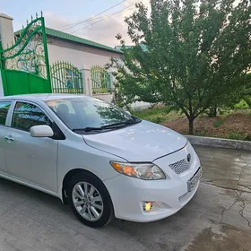 Toyota Corolla 2010