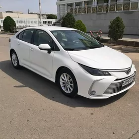 Toyota Corolla 2020